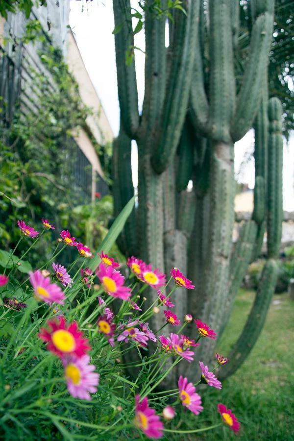 Apartmán Casa El Drago-Tafira Baja Las Palmas de Gran Canaria Exteriér fotografie